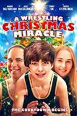 Watch A Wrestling Christmas Miracle Vidbull