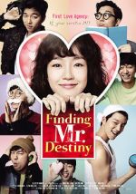 Watch Finding Mr. Destiny Vidbull