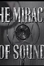 Watch The Miracle of Sound Vidbull