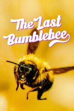 Watch The Last Bumblebee Vidbull