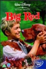 Watch Big Red Vidbull