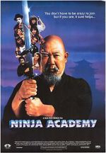 Watch Ninja Academy Vidbull