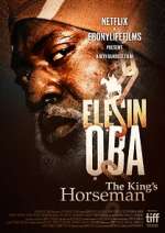 Watch Elesin Oba: The King's Horseman Vidbull