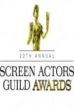 Watch The 20th Annual Screen Actors Guild Awards Vidbull