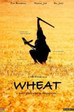 Watch Wheat Vidbull
