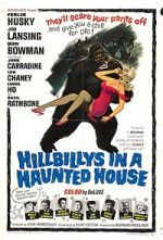 Watch Hillbillys in a Haunted House Vidbull