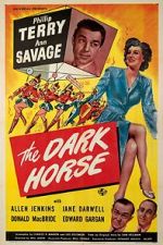 Watch The Dark Horse Vidbull