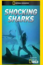 Watch Shocking Sharks Vidbull