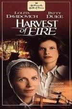 Watch Harvest of Fire Vidbull
