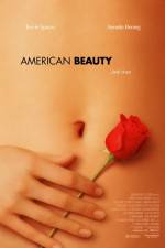 Watch American Beauty Vidbull