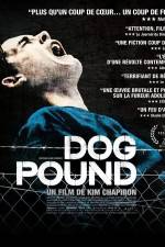 Watch Dog Pound Vidbull