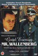 Watch Good Evening, Mr. Wallenberg Vidbull