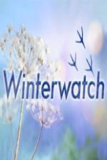 Watch Winterwatch Vidbull