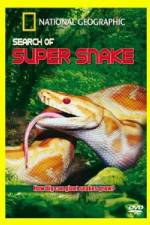 Watch National Geographic Search For The Super Snake Vidbull
