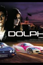 Watch Dolphins Vidbull