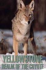 Watch Yellowstone: Realm of the Coyote Vidbull