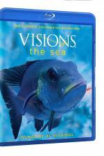 Watch Visions of the Sea Vidbull
