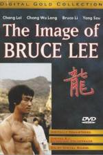 Watch The Bruce Lee Story - (Meng nan da zei yan zhi hu) Vidbull