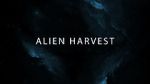 Watch Alien Harvest Vidbull