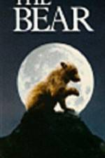Watch The Bear - (L'ours) Vidbull