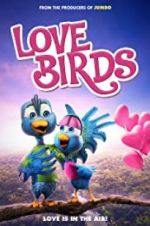 Watch Love Birds Vidbull