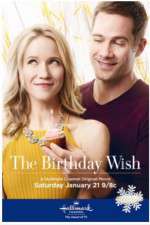 Watch The Birthday Wish Vidbull