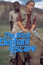 Watch The Great Elephant Escape Vidbull