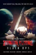 Watch Zombie Ninjas vs Black Ops Vidbull