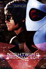 Watch Nightwing Prodigal Son Vidbull