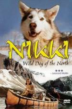 Watch Nikki Wild Dog of the North Vidbull