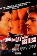 Watch The Young the Gay and the Restless Vidbull