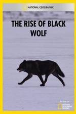 Watch The Rise of Black Wolf Vidbull