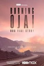Watch Burning Ojai: Our Fire Story Vidbull
