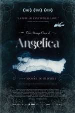 Watch The Strange Case of Angelica Vidbull