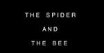 Watch The Spider and the Bee Vidbull