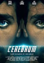 Watch Cerebrum Vidbull
