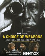 Watch A Choice of Weapons: Inspired by Gordon Parks Vidbull