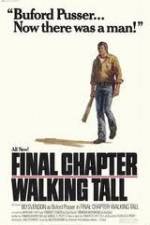 Watch Final Chapter Walking Tall Vidbull
