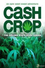 Watch Cash Crop Vidbull
