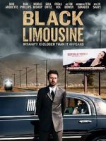 Watch Black Limousine Vidbull