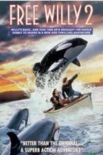 Watch Free Willy 2 The Adventure Home Vidbull
