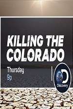 Watch Killing the Colorado Vidbull