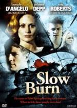 Watch Slow Burn Vidbull