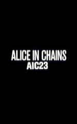 Watch Alice in Chains: AIC 23 Vidbull