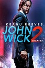 Watch John Wick Chapter 2: Wick-vizzed Vidbull