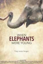 Watch When Elephants Were Young Vidbull