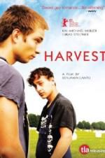Watch Harvest Vidbull