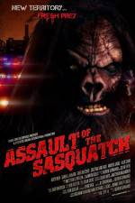 Watch Sasquatch Assault Vidbull