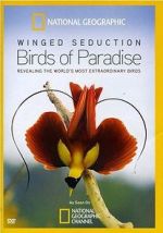 Watch Winged Seduction: Birds of Paradise Vidbull