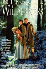 Watch Miracle in the Wilderness Vidbull